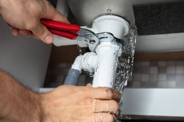 Best Professional water damage repair  in Sonoma State University, CA