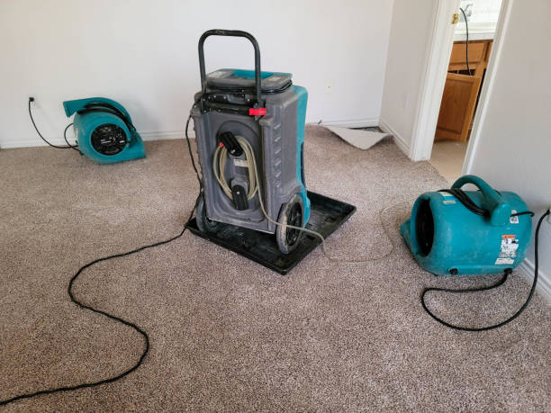 Best Flooded house restoration  in Sonoma State University, CA