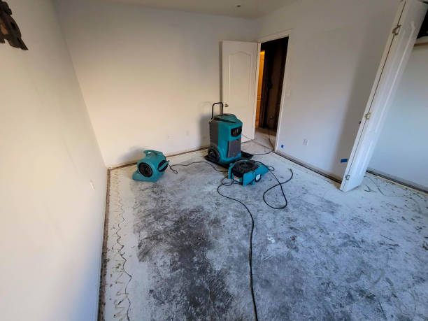 Best Water damage repair service  in Sonoma State University, CA