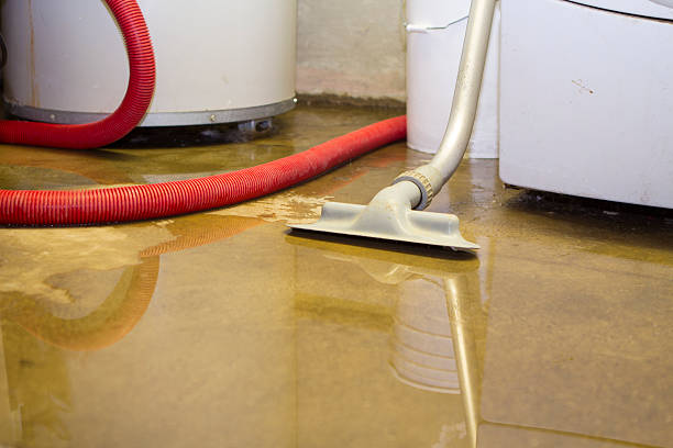 Best Carpet water damage restoration  in Sonoma State University, CA