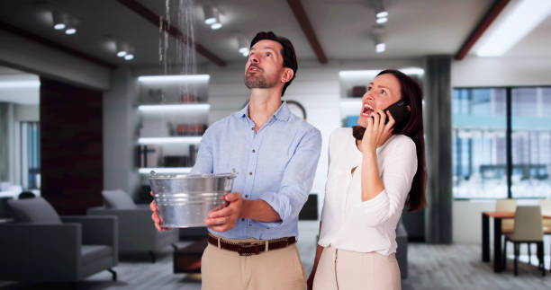 Best Water damage restoration near me  in Sonoma State University, CA